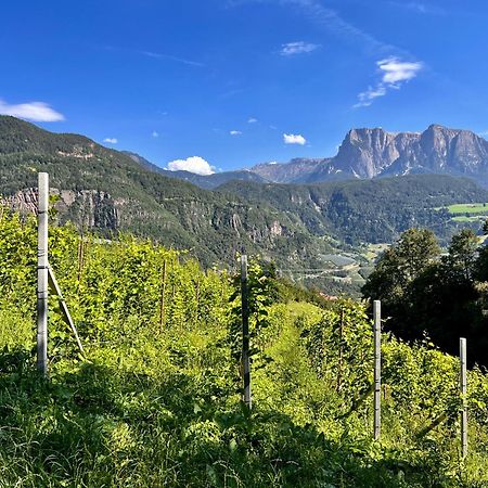 Gasserhof باربيانو المظهر الخارجي الصورة