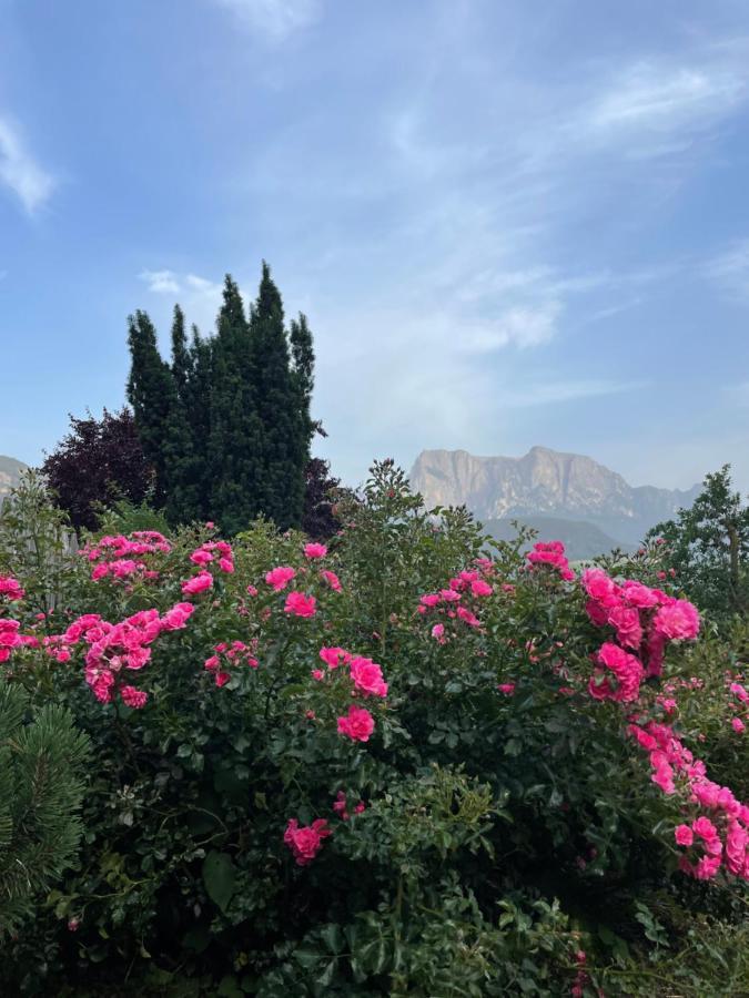 Gasserhof باربيانو المظهر الخارجي الصورة