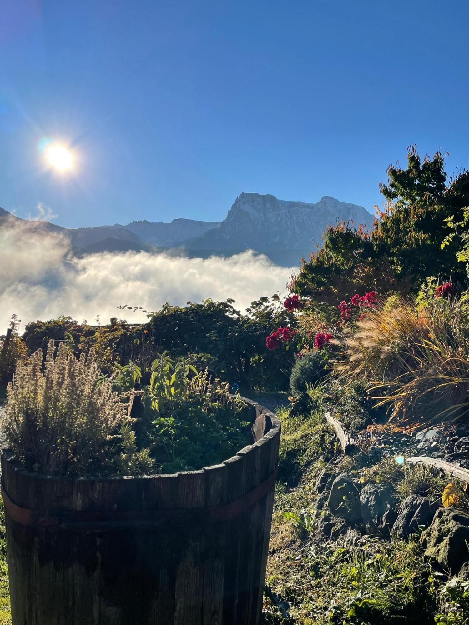 Gasserhof باربيانو المظهر الخارجي الصورة