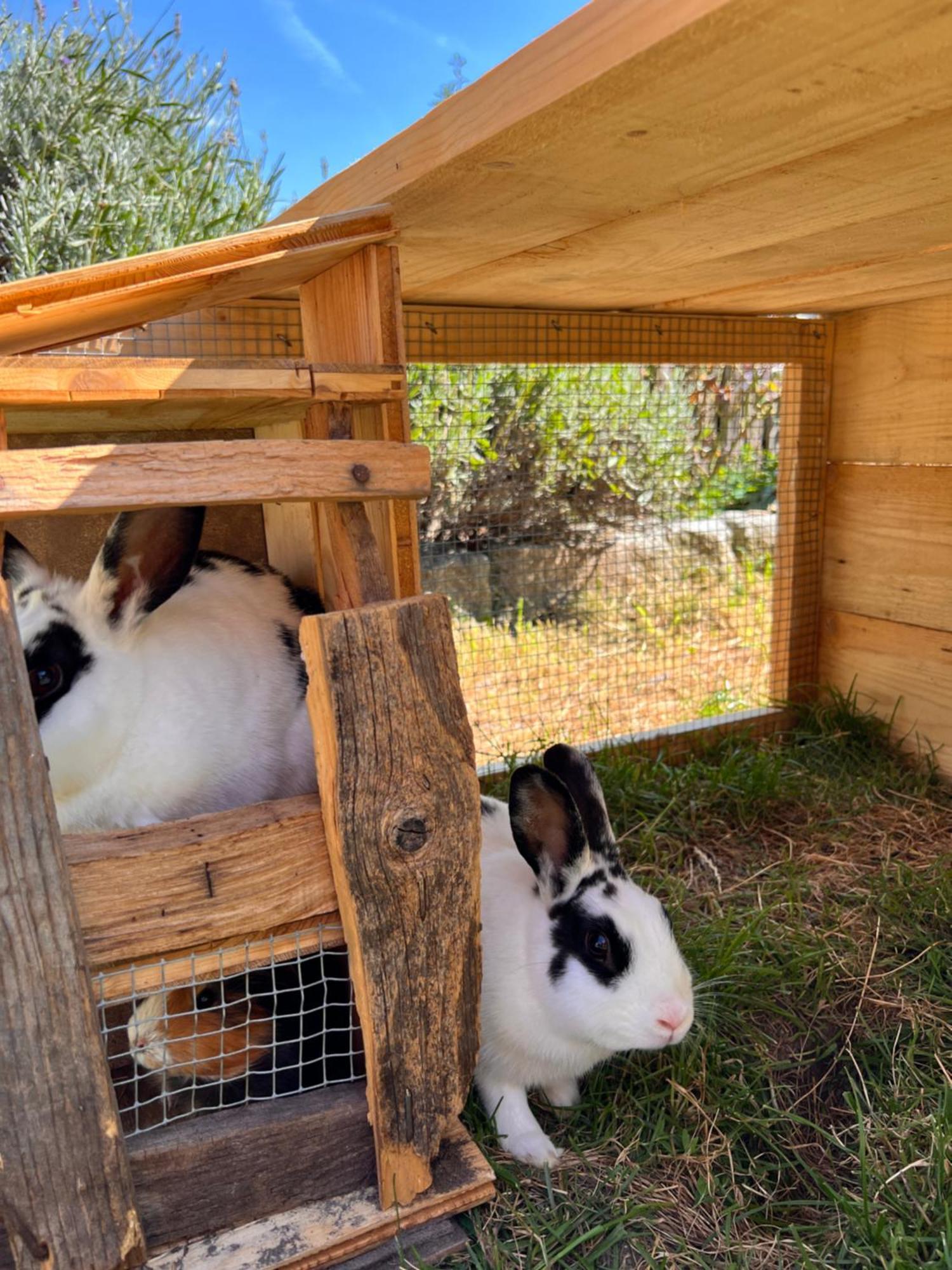 Gasserhof باربيانو المظهر الخارجي الصورة