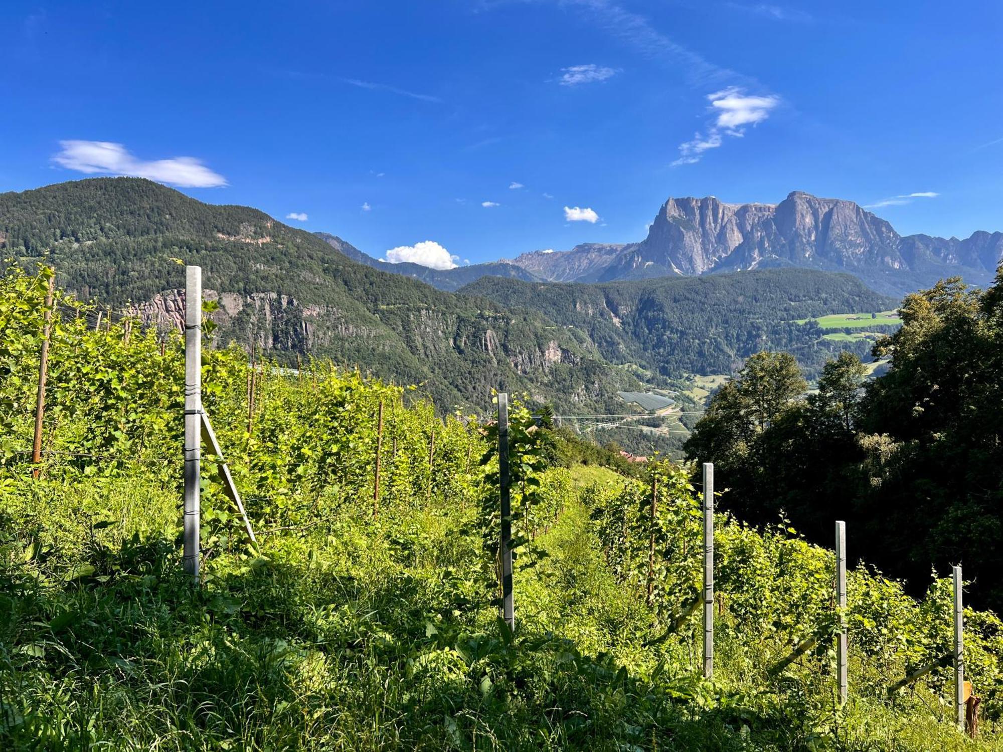 Gasserhof باربيانو المظهر الخارجي الصورة